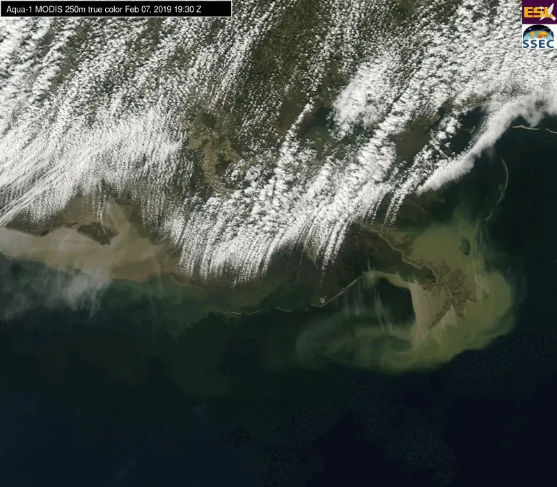 Sea surface temperature animation